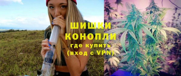 спиды Алзамай