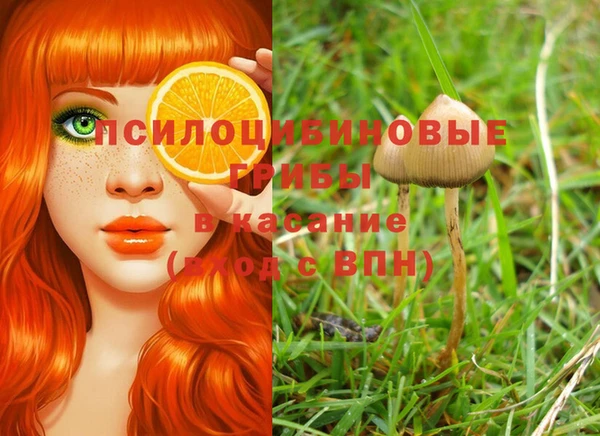 спиды Алзамай