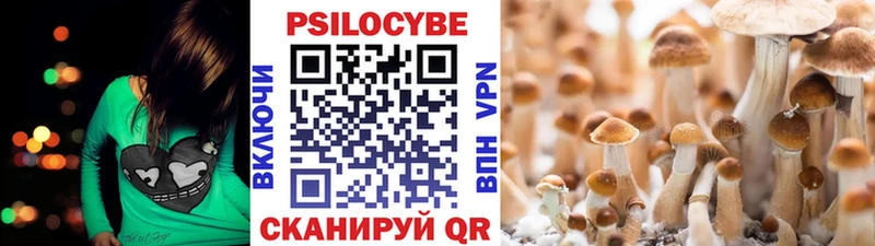 Галлюциногенные грибы Psilocybe  Балахна 